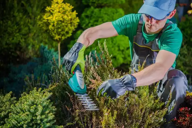 landscaping services Copenhagen
